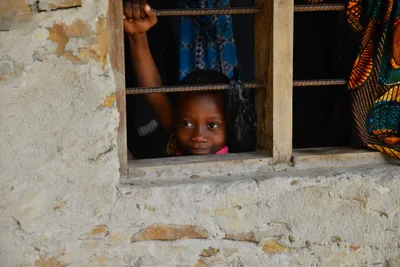 DSC_4749 (Large).JPG